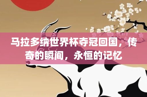 马拉多纳世界杯夺冠回国，传奇的瞬间，永恒的记忆