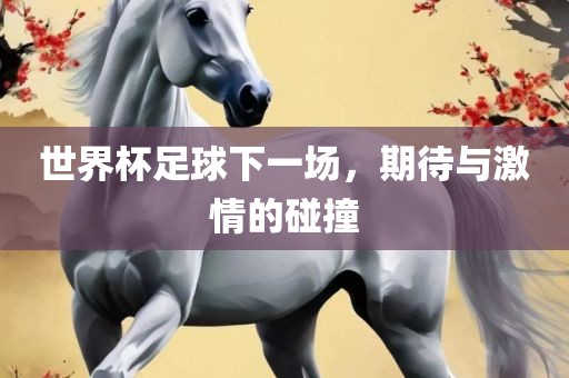 世界杯足球下一场，期待与激情的碰撞