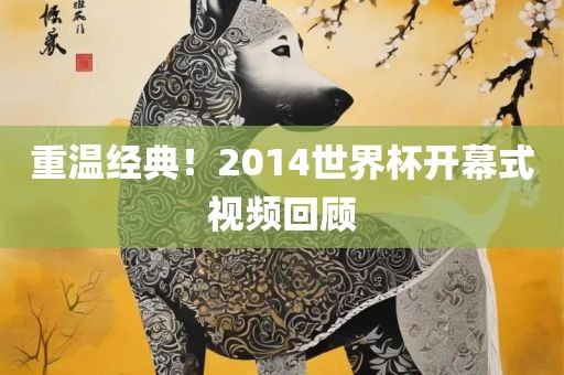 吉安市靖泰电力工程有限公司重温经典！2014世界杯开幕式视频回顾