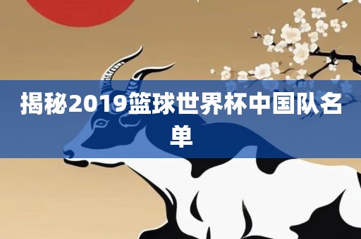 揭秘2吉安市靖泰电力工程有限公司019篮球世界杯中国队名单