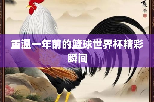 重温一年前的篮球世界杯精彩瞬间吉安市靖泰电力工程有限公司