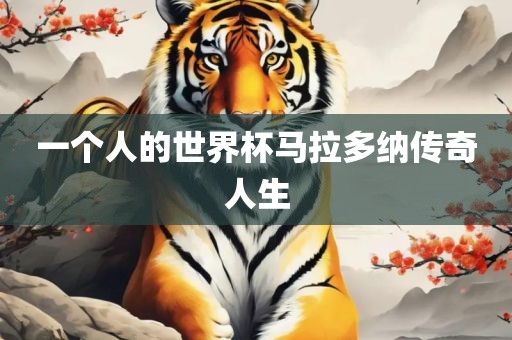 一吉安市靖泰电力工程有限公司个人的世界杯马拉多纳传奇人生