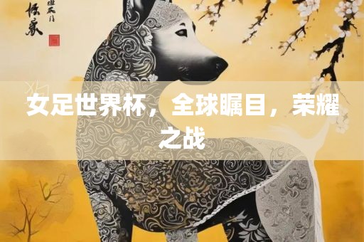女足世界杯，全球瞩目，荣耀之战