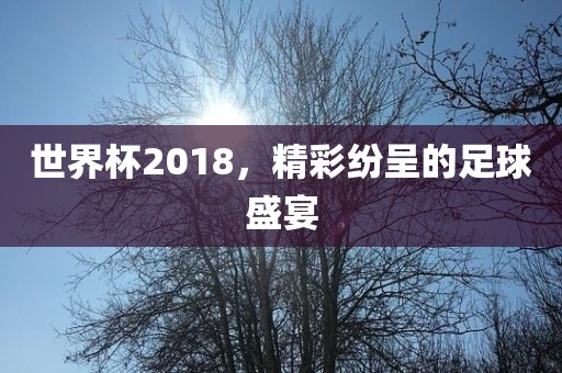 世界吉安市靖泰电力工程有限公司杯2018，精彩纷呈的足球盛宴