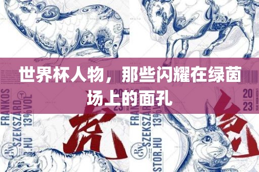 世界杯人物，那些闪耀在绿茵场上的面孔吉安市靖泰电力工程有限公司