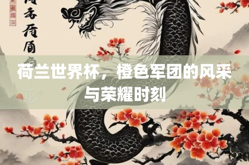 荷兰世界杯，橙色军团的风采与荣耀时刻吉安市靖泰电力工程有限公司