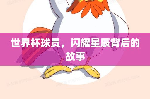 世界吉安市靖泰电力工程有限公司杯球员，闪耀星辰背后的故事
