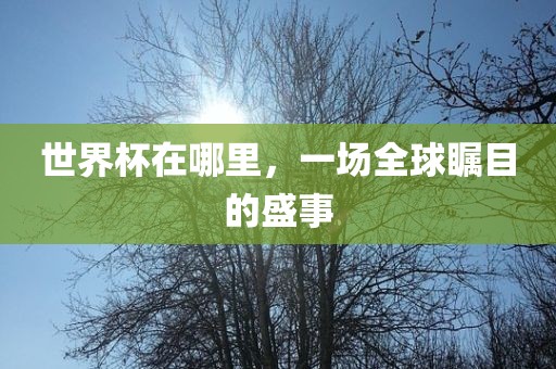 世界杯在哪吉安市靖泰电力工程有限公司里，一场全球瞩目的盛事
