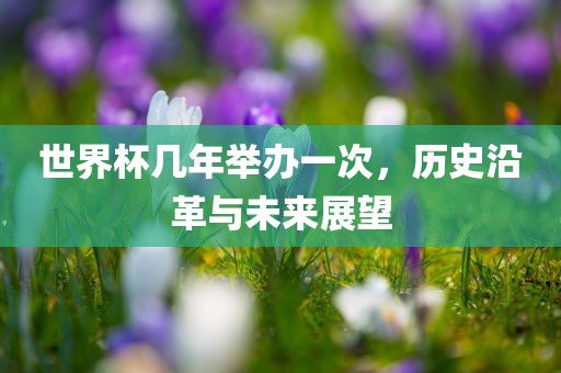 世界杯几年举办一次，历史沿革与未来展望吉安市靖泰电力工程有限公司