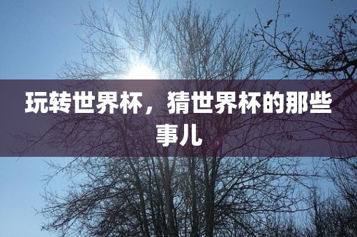 玩转世界杯，猜世界杯的那些事儿吉安市靖泰电力工程有限公司