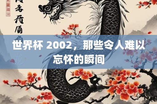 世界杯 2吉安市靖泰电力工程有限公司002，那些令人难以忘怀的瞬间