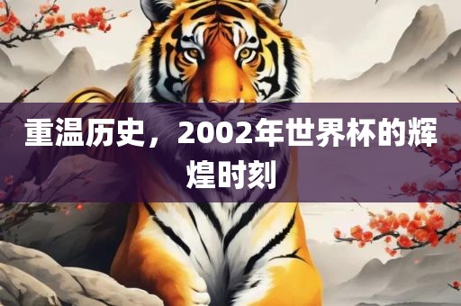 重温历史，2002年世界杯的辉煌时刻