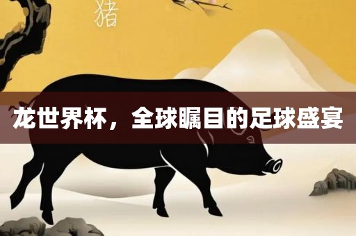 龙世界吉安市靖泰电力工程有限公司杯，全球瞩目的足球盛宴