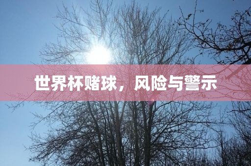 世界杯赌球，风险与警示