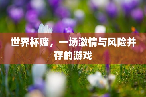 世界杯赌，一场激情与风险并存的游戏吉安市靖泰电力工程有限公司