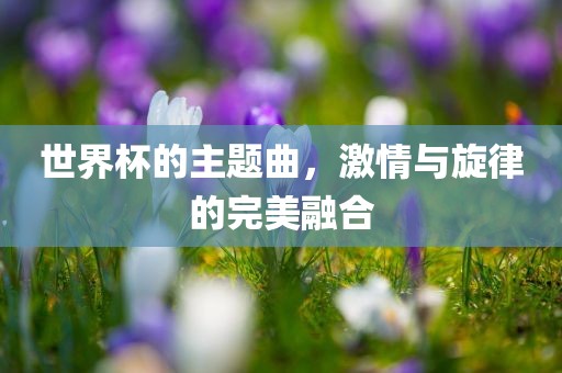 世界杯的主题曲，激情与旋律的完美融合吉安市靖泰电力工程有限公司