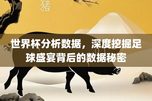 世界杯分析数据，深度挖掘足球盛宴背后的数据秘密吉安市靖泰电力工程有限公司