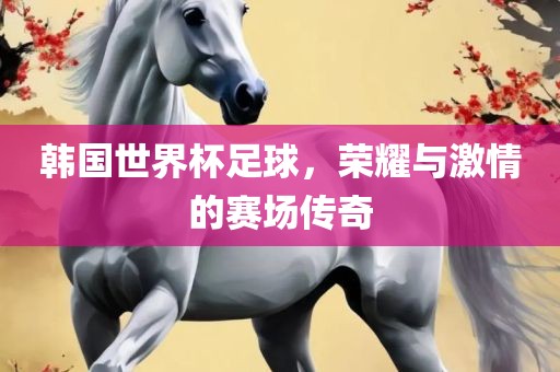 韩国世界杯足球，荣耀与激情的赛场传奇吉安市靖泰电力工程有限公司