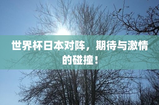 世界杯日本对阵，期待与激情的碰撞！