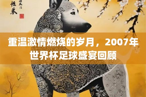 重温激情燃烧的岁月，2007年世界杯足球盛宴回顾吉安市靖泰电力工程有限公司