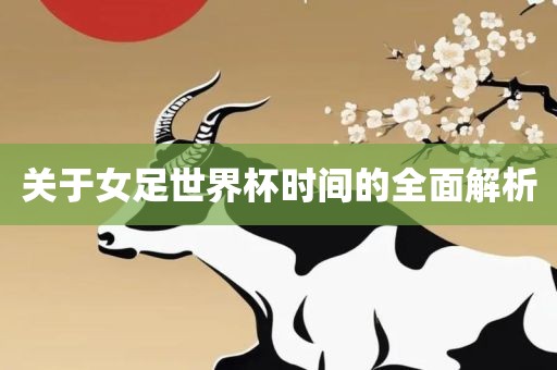 关于女足世界杯时间的全面解析吉安市靖泰电力工程有限公司