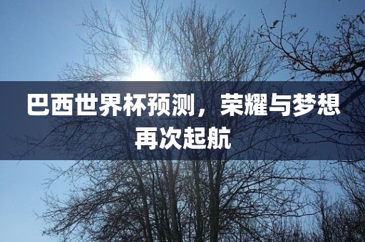 巴西世界杯预测，荣耀与梦想再次起航吉安市靖泰电力工程有限公司