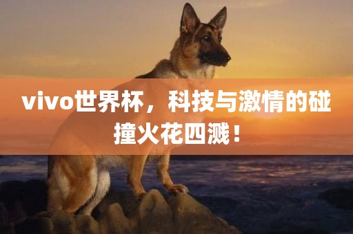 vivo世界杯，科技与激情的碰撞火花四溅！吉安市靖泰电力工程有限公司