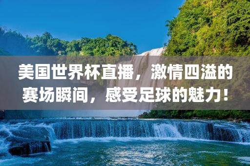 美国世界杯直播，激情四溢的赛场瞬间，感受足球的魅力！吉安市靖泰电力工程有限公司