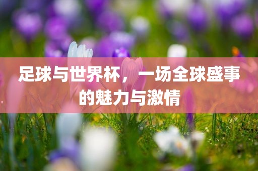 足球与世界杯，一场全球盛事的魅力与激情吉安市靖泰电力工程有限公司