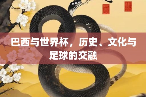 巴西与世界杯，历史、文化与足球的交融