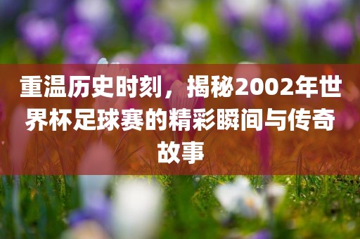 重温历史时刻，揭秘2002年世界杯足球赛的精彩瞬间与传奇故事吉安市靖泰电力工程有限公司
