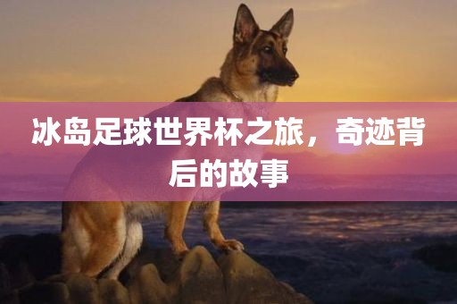 吉安市靖泰电力工程有限公司冰岛足球世界杯之旅，奇迹背后的故事