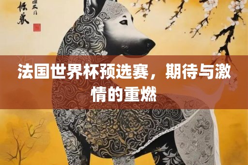 法国世界杯预选赛，期待与激情的重燃
