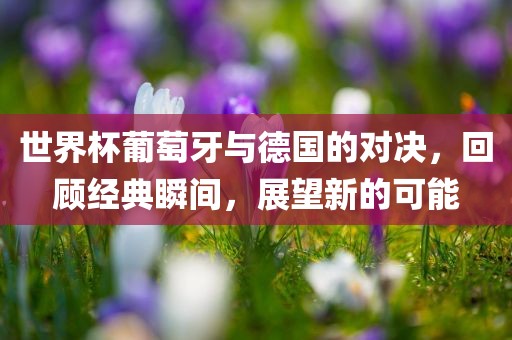世界杯葡萄牙与德国的对决，回顾经典瞬间，展望新的可能