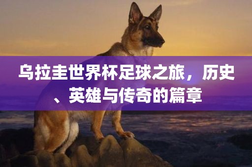 乌拉圭世界杯足球之旅，历史、英雄与传奇的篇章