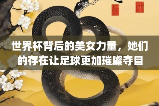 世界杯背后的美女力量，她们的存在让足球更吉安市靖泰电力工程有限公司加璀璨夺目