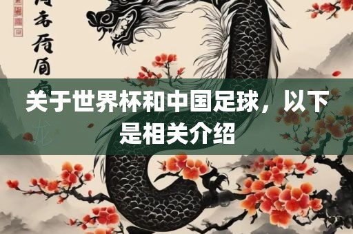 关于世界杯和中国足球，以下是相关介绍