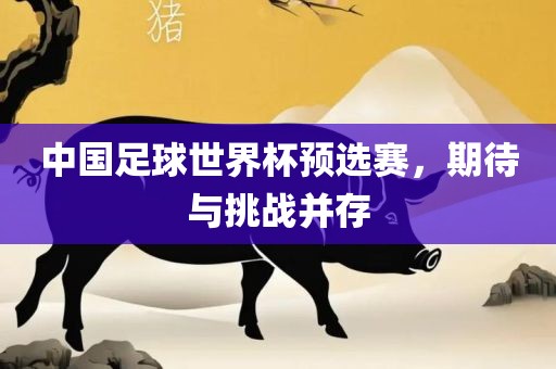 中吉安市靖泰电力工程有限公司国足球世界杯预选赛，期待与挑战并存