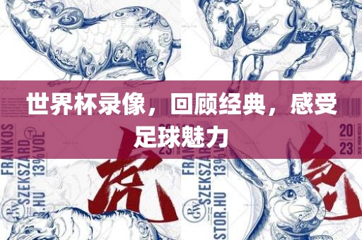 世界杯录像，回顾经典，感受足球魅力吉安市靖泰电力工程有限公司