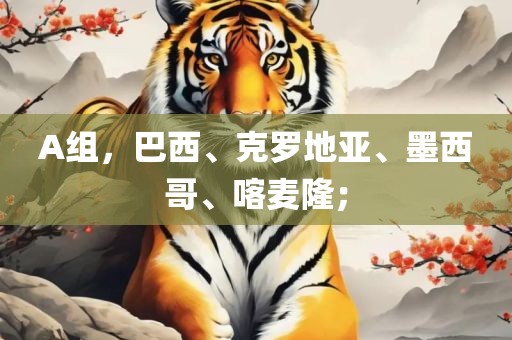 A组，巴西、克罗地亚、墨西哥、喀麦隆；
