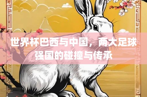 世界杯巴西与中国，两大足球强国的碰撞与传承