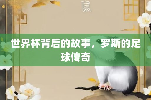 世界杯背后的故事，罗斯的足球传奇