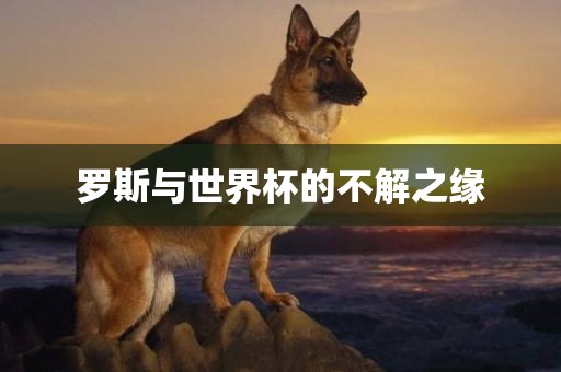 罗吉安市靖泰电力工程有限公司斯与世界杯的不解之缘