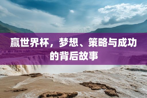 赢世界杯，梦想、策略与成功的背后故事