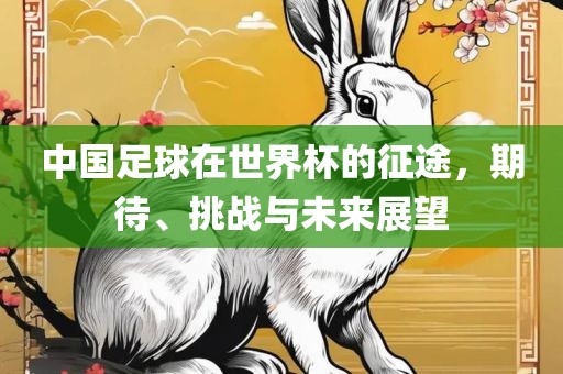 吉安市靖泰电力工程有限公司中国足球在世界杯的征途，期待、挑战与未来展望