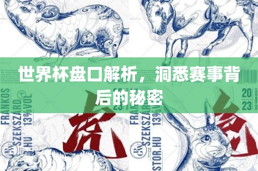 世界杯盘口解析，洞悉赛事背后的秘密