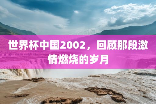 世界杯中国2002，回顾那段激情燃烧的岁月