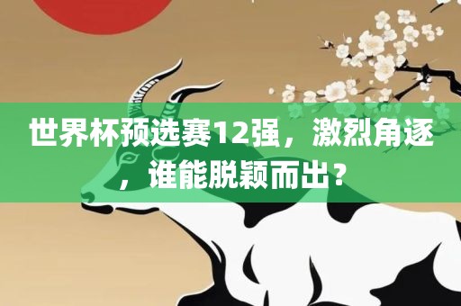 世界杯预选赛12强，激烈角逐，谁能脱颖而出？