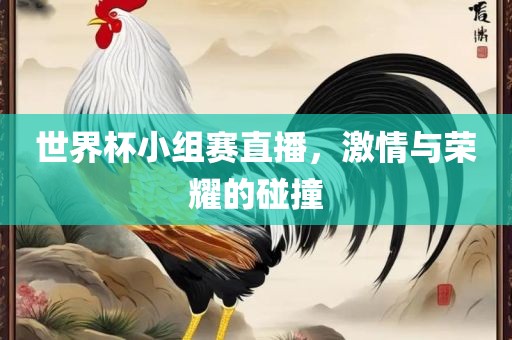 世界杯小组赛直播，激情与荣耀的碰撞