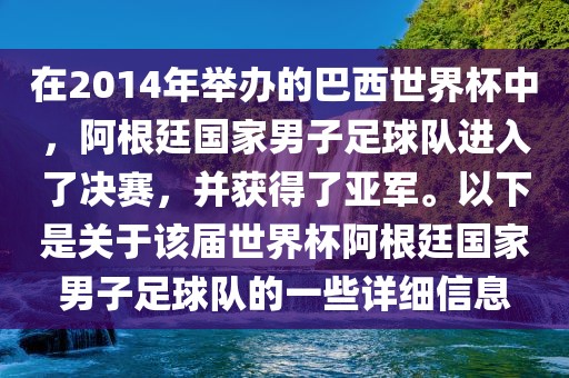 在2014年举办的巴西世界杯中，阿根廷国家男子足球队进入了决赛，并获得了亚军。以下是关于该届世界杯阿根廷国家男子足球队的一些详细信息